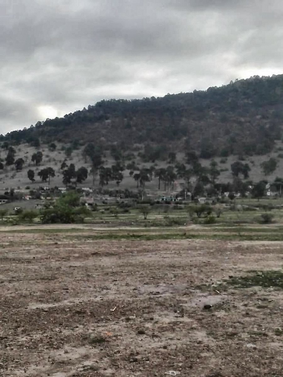 Cerro con pinos sobre las casas de Puruagua, Guanajuato, en un día nublado