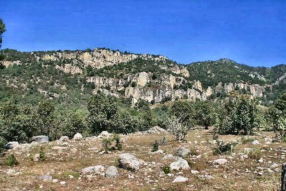Peñas y paredes de roca de la Sierra de Puruagua entre encinos, donde se practica escalada y rapel